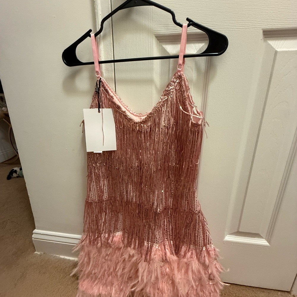 Elegant Pink Fringe Dress